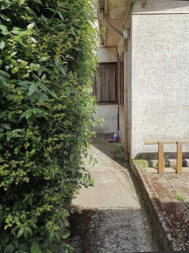 PATIO TRASERO