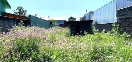 IMG_3037