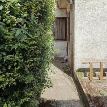 PATIO TRASERO