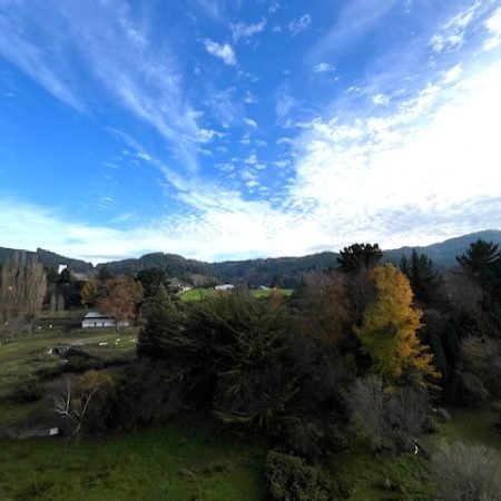 IMG_4193