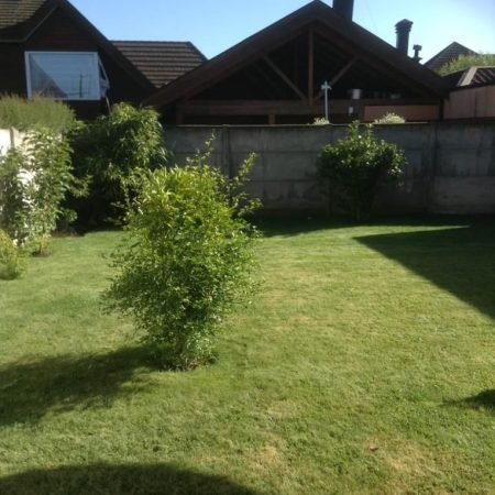 PHOTO-2023-07-19-16-51-56 (4)