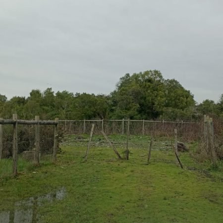 PHOTO-2023-10-23-16-26-17 (3)