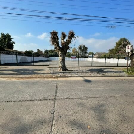 PHOTO-2025-06-11-16-37-35 (1)